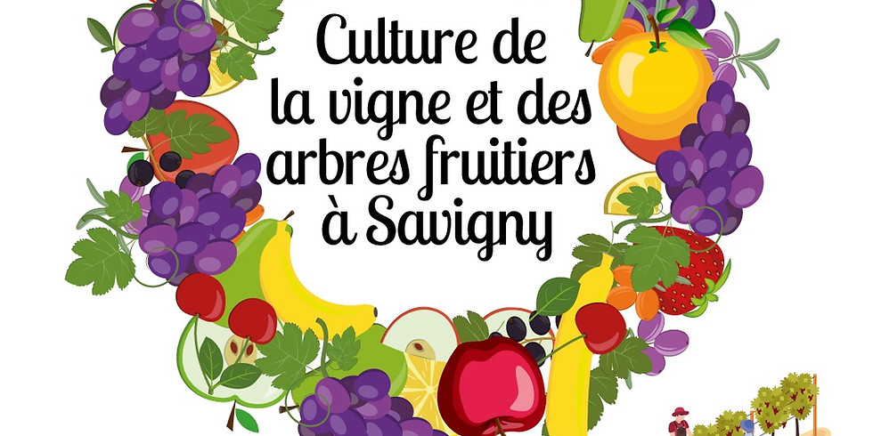Conférence culture de la vigne et des arbres fruitiers à Savigny